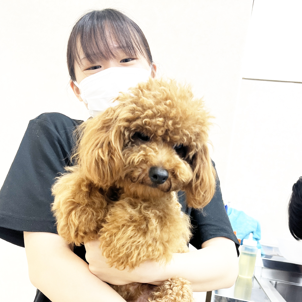 今日もたくさんのお客様！